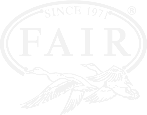 Fair