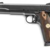 Chiappa 1911 Superior Black_edited.jpg