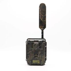 SEISSIGER_Special_Cam_LTE_SUPERSIM_Edition_034tbf2NYkQ8TYb.jpg