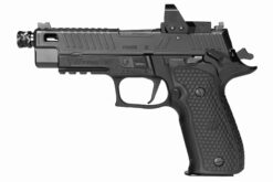 Sig Sauer P226 ZEV.jpeg