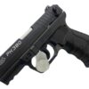 Walther PK380_2png_edited.jpg