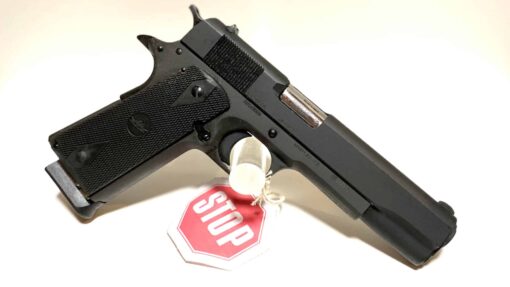 Armscor GI Standard FS _3_edited.jpg