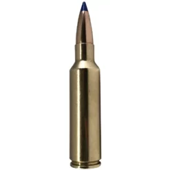 Norma .308 Win. Bondstrike Extreme 11,7g 180grs. 2