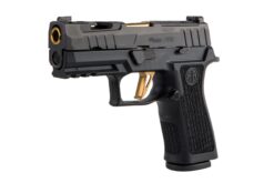 SIG SAUER P320 XCarry Spectre Schwarz 9 mm Luger 4