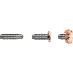 RWS .308 Win. Driven Hunt 10,7g 165gr bleifrei 3