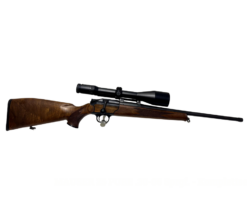 Blaser R93(1)