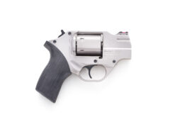 Chiappa Rhino 20DS Nickel